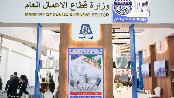 قطاع الأعمال العام