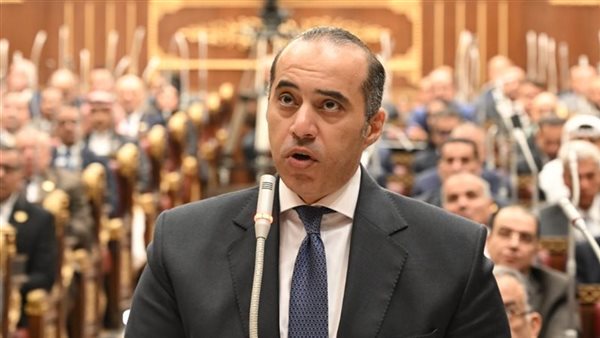 المستشار محمود فوزي