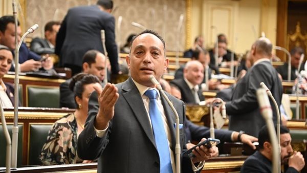 النائب الدكتور فريدي البياضي