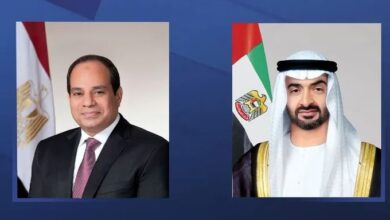 السيسي