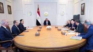 السيسي