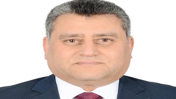 المهندس عمرو نجاتي