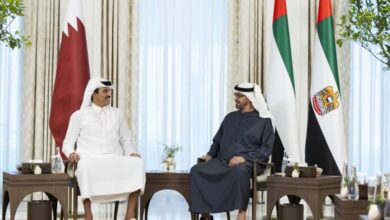 رئيس الإمارات وأمير قطر