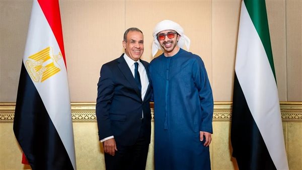 وزيرا خارجية مصر والإمارات