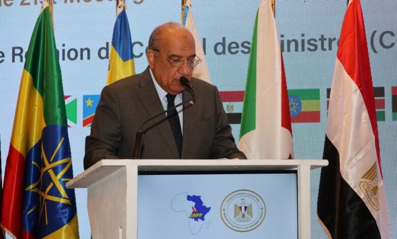 وزير الكهرباء