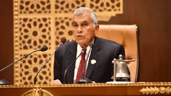 المستشار عصام الدين فريد رئيس مجلس الشيوخ