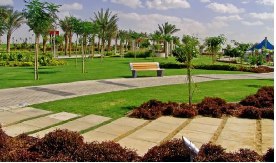 التنمية المحلية