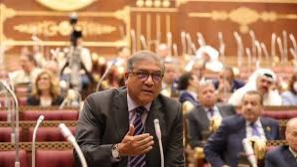 النائب الدكتور عفت السادات
