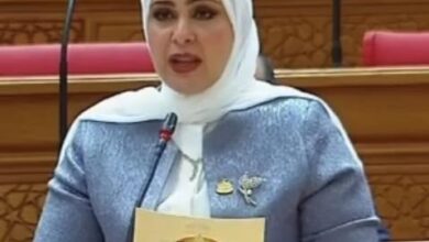 مروة صالح، عضو مجلس النواب عن حزب مستقبل وطن