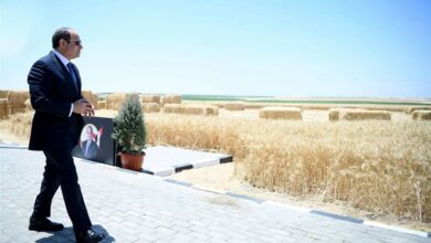 مشروع الدلتا الجديدة