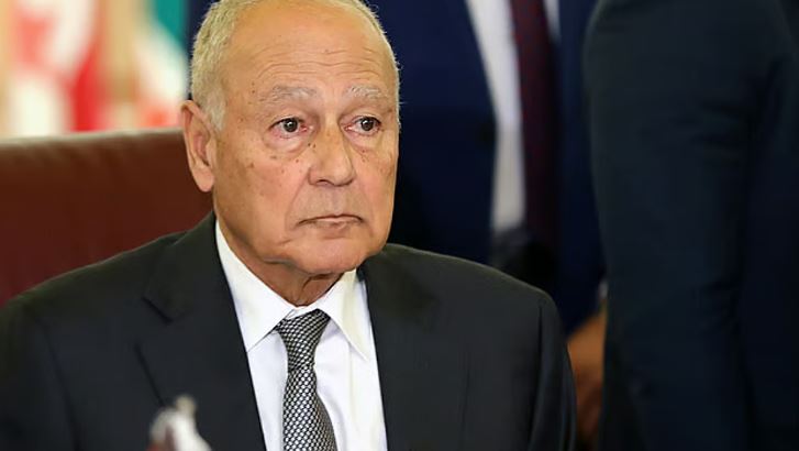 أبو الغيط