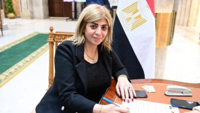 أميرة فؤاد رزق، عضو مجلس النواب