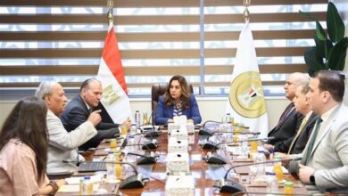 التنمية المحلية
