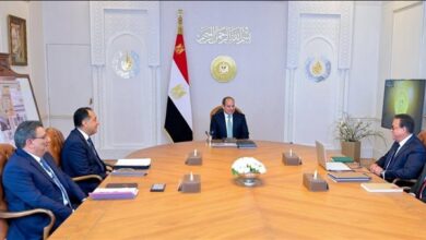 الرئيس السيسي