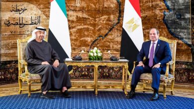 السيسي