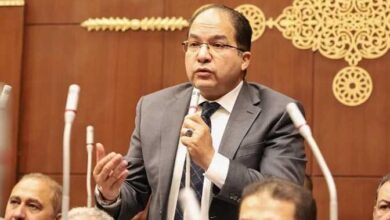 عادل اللمعي، عضو مجلس النواب
