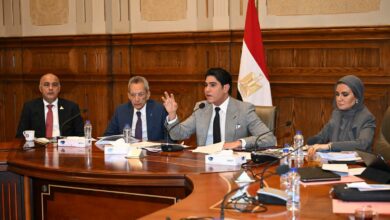 لجنة الشئون المالية والاقتصادية والاستثمار بمجلس الشيوخ