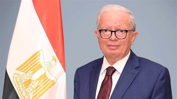 نائب رئيس الوزراء