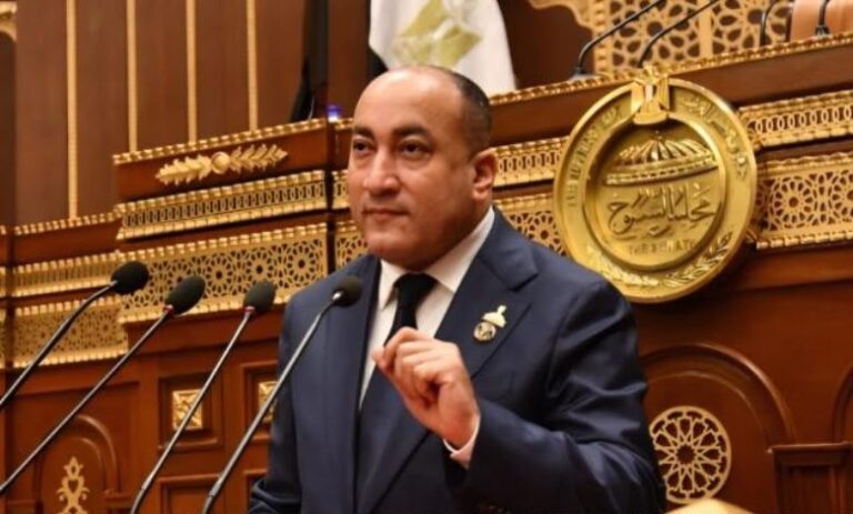 النائب عمرو رشاد