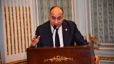 النائب عمرو رشاد