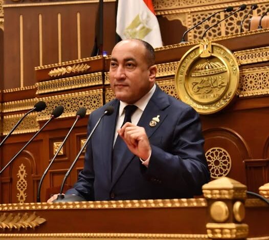 النائب عمرو رشاد