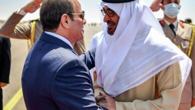 السيسي ومحمد بن زايد