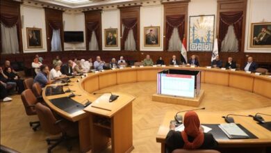 محافظ القاهرة
