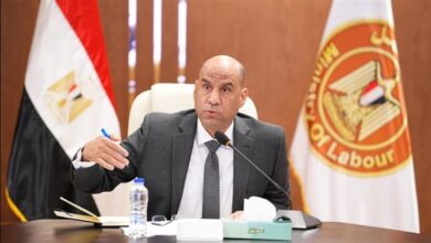 وزير العمل