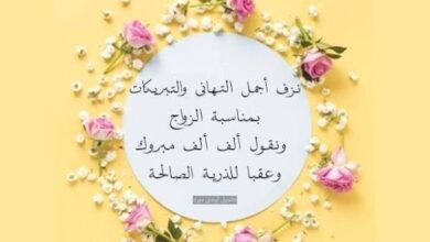 المستشار محمد علي ذكي سويدان يهنئ ابن عمه بزفاف ابنته ندى