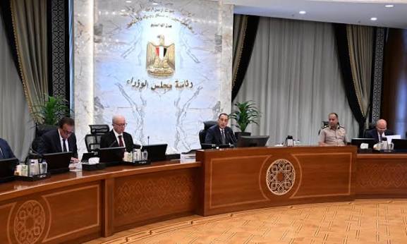 مجلس الوزراء: حظر قطع الأشجار نهائيًا وتدريب كوادر المحافظات على نقلها