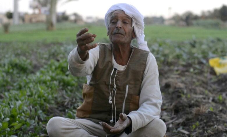 الفلاح
