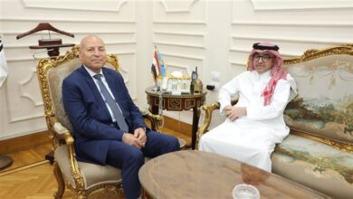محافظ القاهرة
