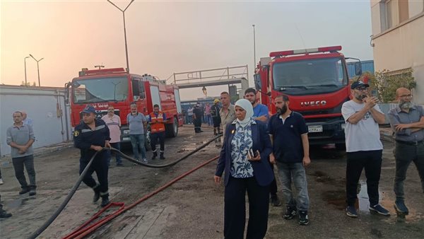محافظ القليوبية