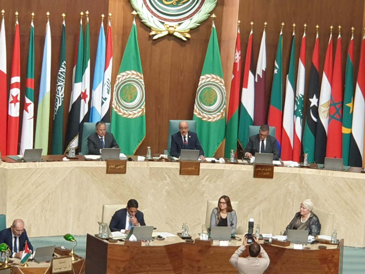 نبيل فهمي