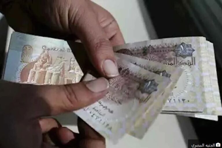استشاري: ترشيد الاستيراد وتعميق الصناعة مفتاح مواجهة ضغوط الدولار