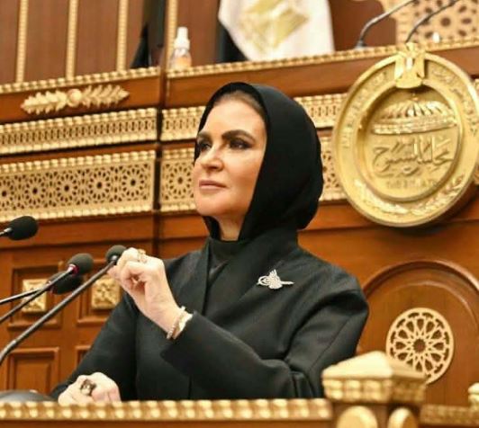 سحر نصر وكيلة للجنة المالية والاقتصادية والاستثمار بمجلس الشيوخ للعام الثاني على التوالي