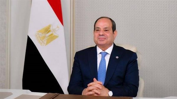 السيسي يبحث مع مؤسس «دانجوتي» فرص الاستثمار في مصر
